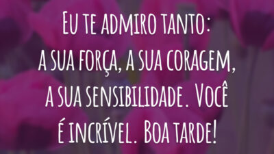 Eu te admiro tanto: a sua força, a sua coragem, a sua sensibilidade. Você é incrível. Boa tarde!