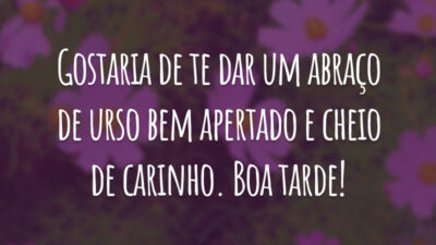 Gostaria de te dar um abraço de urso bem apertado e cheio de carinho. Boa tarde!