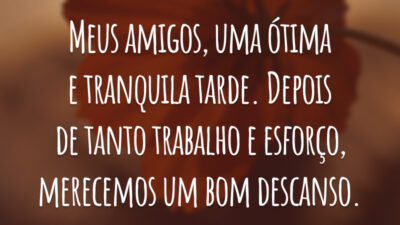Meus amigos, uma ótima e tranquila tarde. Depois de tanto trabalho e esforço, merecemos um bom descanso.