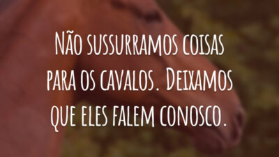 Não sussurramos coisas para os cavalos. Deixamos que eles falem conosco.