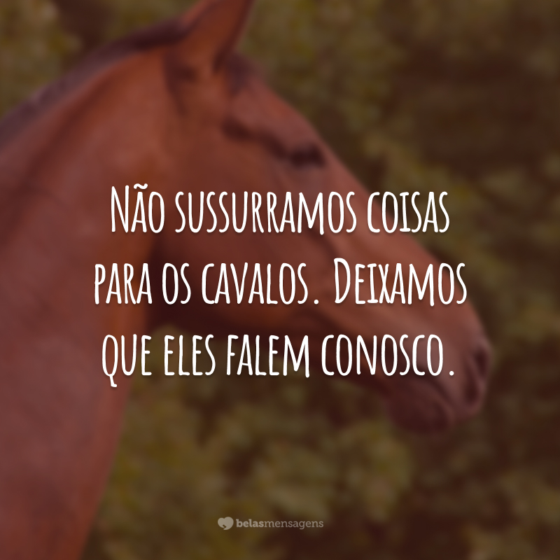 Não sussurramos coisas para os cavalos. Deixamos que eles falem conosco.