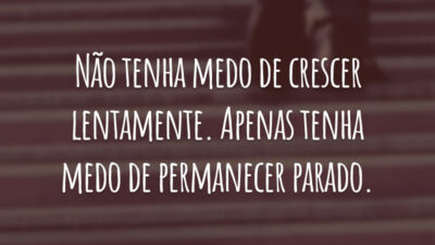 Não tenha medo de crescer lentamente. Apenas tenha medo de permanecer parado.