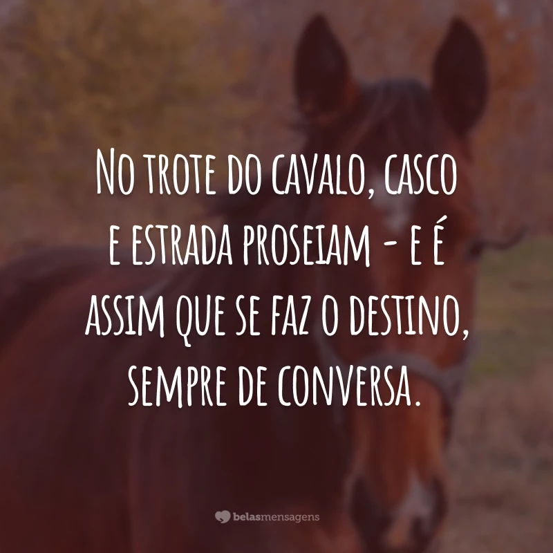 No trote do cavalo, casco e estrada proseiam - e é assim que se faz o destino, sempre de conversa.