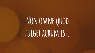 Non omne quod fulget aurum est. (Nem tudo o que brilha é ouro.)