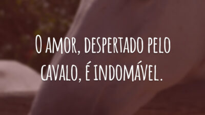 O amor, despertado pelo cavalo, é indomável.