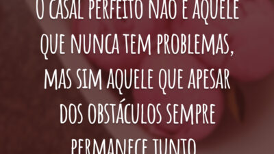 O casal perfeito não é aquele que nunca tem problemas, mas sim aquele que apesar dos obstáculos sempre permanece juntos.