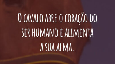 O cavalo abre o coração do ser humano e alimenta a sua alma.