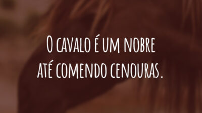 O cavalo é um nobre até comendo cenouras.