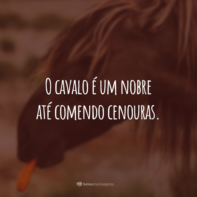 O cavalo é um nobre até comendo cenouras.