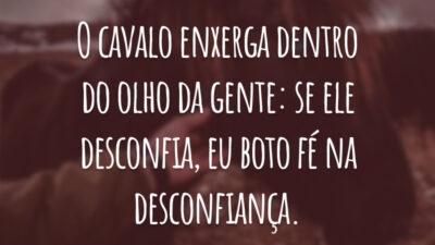 O cavalo enxerga dentro do olho da gente: se ele desconfia, eu boto fé na desconfiança.