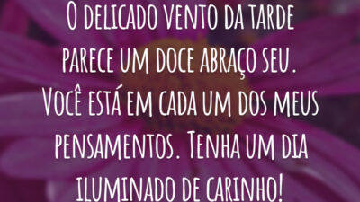 O delicado vento da tarde parece um doce abraço seu. Você está em cada um dos meus pensamentos. Tenha um dia iluminado de carinho!