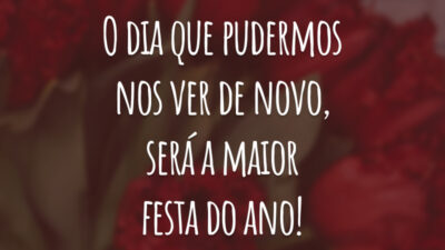 O dia que pudermos nos ver de novo, será a maior festa do ano!