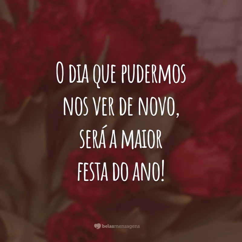 O dia que pudermos nos ver de novo, será a maior festa do ano!