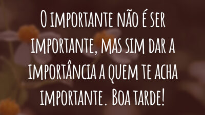 O importante não é ser importante, mas sim dar a importância a quem te acha importante. Boa tarde!