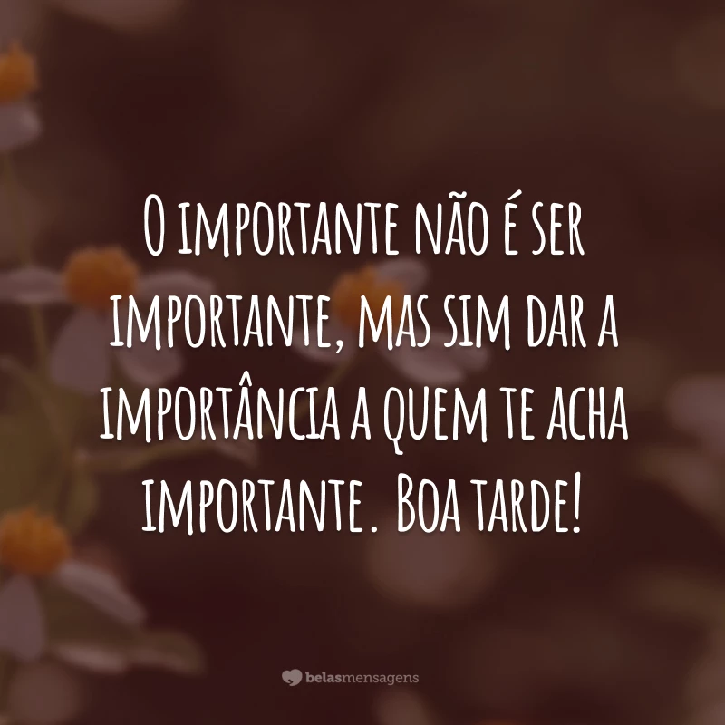 O importante não é ser importante, mas sim dar a importância a quem te acha importante. Boa tarde!