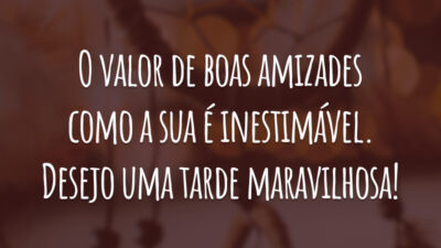 O valor de boas amizades como a sua é inestimável. Desejo uma tarde maravilhosa!