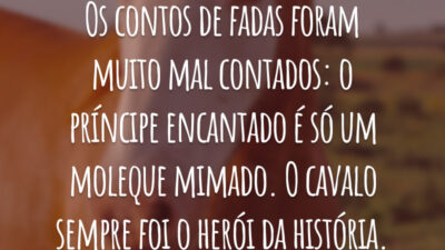 Os contos de fadas foram muito mal contados: o príncipe encantado é só um moleque mimado. O cavalo sempre foi o herói da história.
