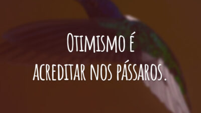 Otimismo é acreditar nos pássaros.