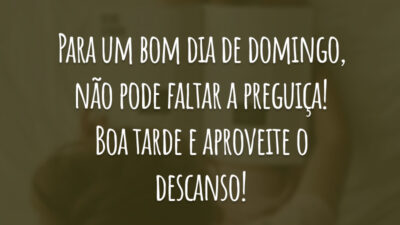 Para um bom dia de domingo, não pode faltar a preguiça! Boa tarde e aproveite o descanso!