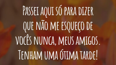 Passei aqui só para dizer que não me esqueço de vocês nunca, meus amigos. Tenham uma ótima tarde!