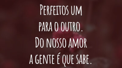 Perfeitos um para o outro. Do nosso amor a gente é que sabe.