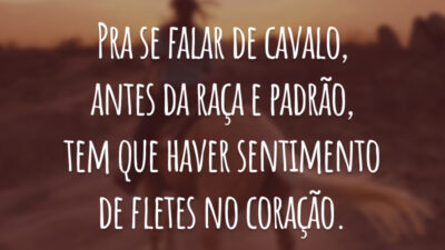 Pra se falar de cavalo, antes da raça e padrão, tem que haver sentimento de fletes no coração.