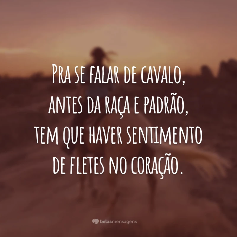 Pra se falar de cavalo, antes da raça e padrão, tem que haver sentimento de fletes no coração.