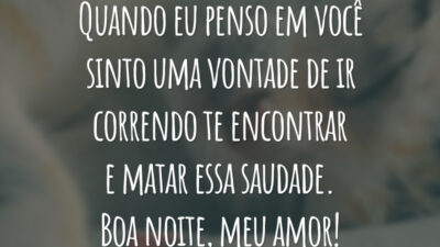 Quando eu penso em você sinto uma vontade de ir correndo te encontrar e matar essa saudade. Boa noite meu amor!