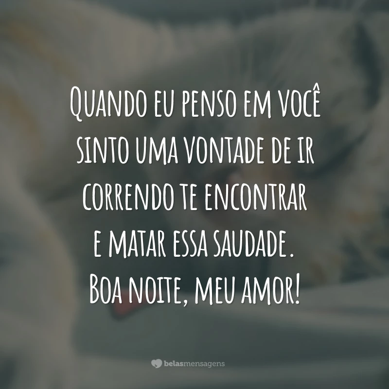 Quando eu penso em você sinto uma vontade de ir correndo te encontrar e matar essa saudade. Boa noite meu amor!