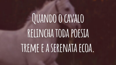 Quando o cavalo relincha toda poesia treme e a serenata ecoa.