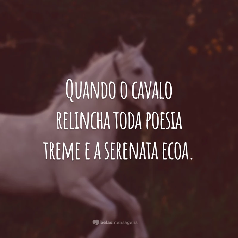 Quando o cavalo relincha toda poesia treme e a serenata ecoa.