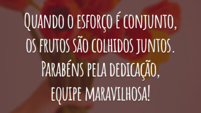 Quando o esforço é conjunto, os frutos são colhidos juntos. Parabéns pela dedicação, equipe maravilhosa!