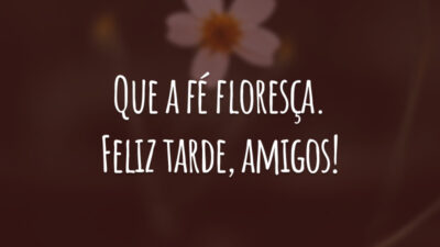 Que a fé floresça. Feliz tarde, amigos!