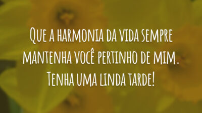 Que a harmonia da vida sempre mantenha você pertinho de mim. Tenha uma linda tarde!