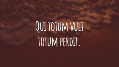 Qui totum vult totum perdit. (Aquele que quer tudo perde tudo.)