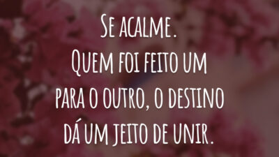 Se acalme. Quem foi feito um para o outro, o destino dá um jeito de unir.