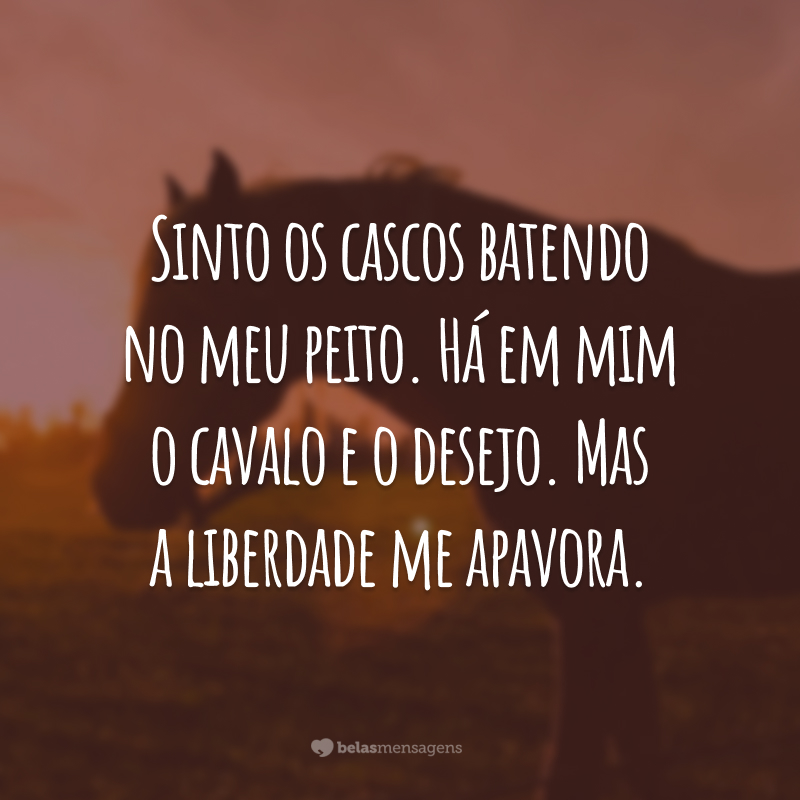 Sinto os cascos batendo no meu peito. Há em mim o cavalo e o desejo. Mas a liberdade me apavora.