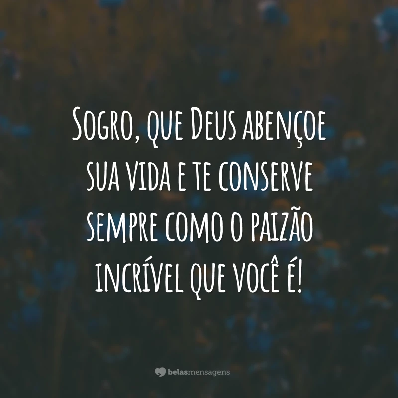 Sogro, que Deus abençoe sua vida e te conserve sempre como o paizão incrível que você é!