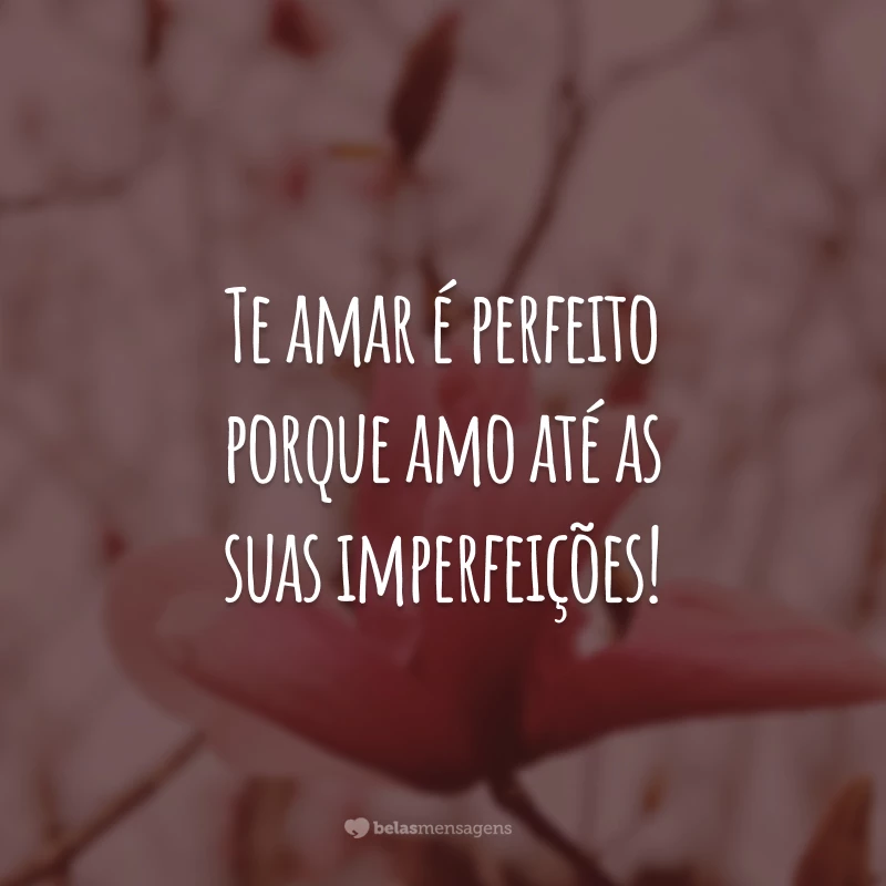 Te amar é perfeito porque amo até as suas imperfeições!