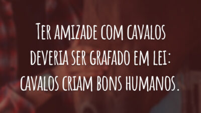 Ter amizade com cavalos deveria ser grafado em lei: cavalos criam bons humanos.