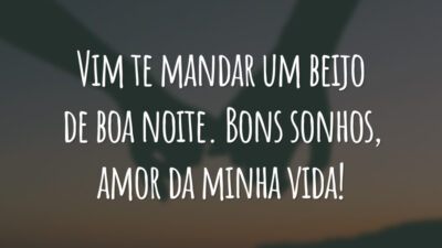 Vim te mandar um beijo de boa noite. Bons sonhos, amor da minha vida!