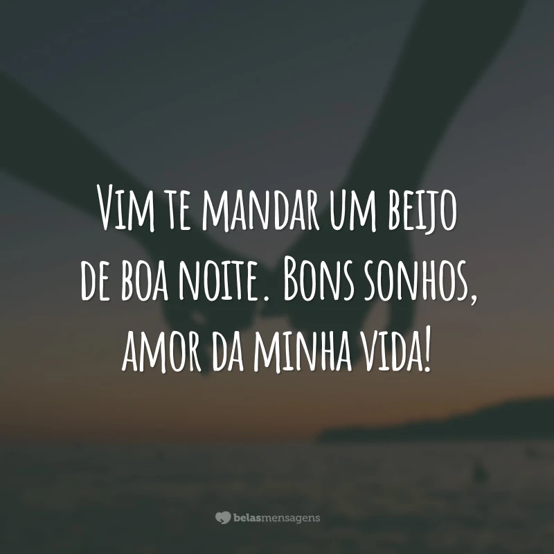 Vim te mandar um beijo de boa noite. Bons sonhos, amor da minha vida!