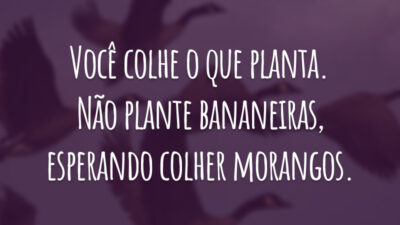 Você colhe o que planta. Não plante bananeiras, esperando colher morangos.