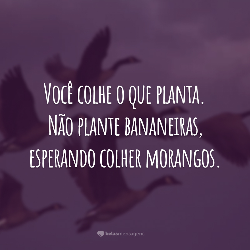 Você colhe o que planta. Não plante bananeiras, esperando colher morangos.