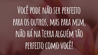 Você pode não ser perfeito para os outros, mas para mim, não há na Terra alguém tão perfeito como você!