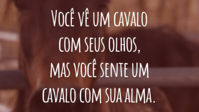 Você vê um cavalo com seus olhos, mas você sente um cavalo com sua alma.