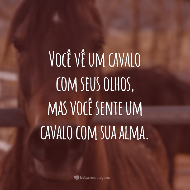 Você vê um cavalo com seus olhos, mas você sente um cavalo com sua alma.