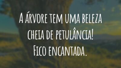 A árvore tem uma beleza cheia de petulância! Fico encantada.