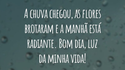 A chuva chegou, as flores brotaram e a manhã está radiante. Bom dia, luz da minha vida!