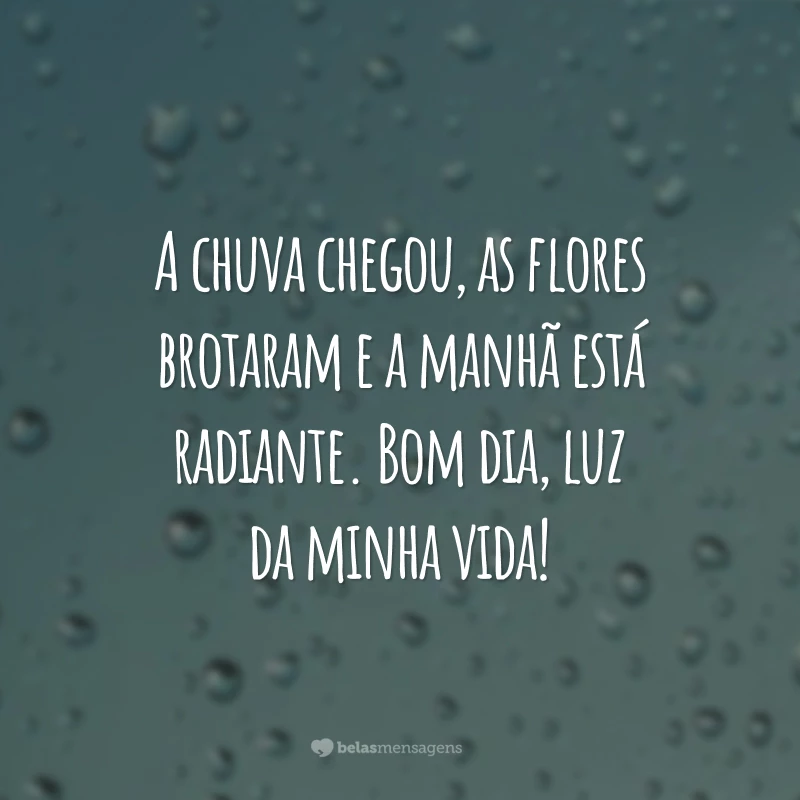 A chuva chegou, as flores brotaram e a manhã está radiante. Bom dia, luz da minha vida!